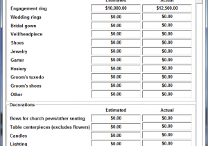 Wedding Budget Template Pdf And Marriage Financial Planning Worksheet