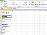 budget worksheet pdf 3