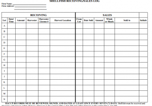 daily sales activity report template excel sample