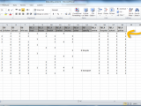 excel survey template with option buttons