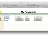 microsoft excel password template